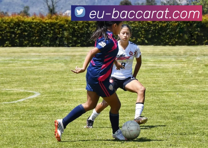 AG百家乐官网发展历程